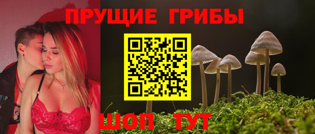 Псилоцибиновые грибы прущие грибы  Вход с VPN  Кондопога 