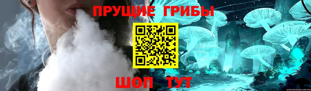 Псилоцибиновые грибы MAGIC MUSHROOMS Кондопога